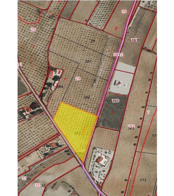 Villa de Obra Nueva Llave en Mano en Pinoso – Exclusividad, Espacio y Confort en Plena Naturaleza - 28