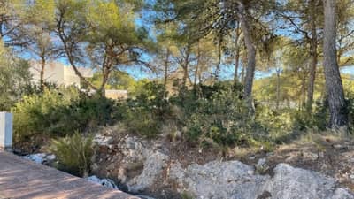 Property #TSR1431C - Image 2