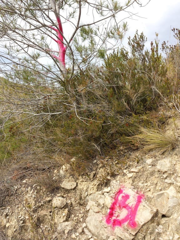 Se vende parcela en pedreguer con licencia de construccion - 33