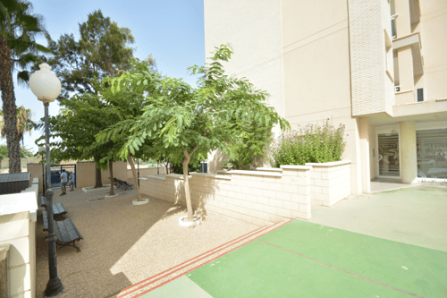 Appartement met 2 slaapkamers in Guardamar del Segura — foto 27