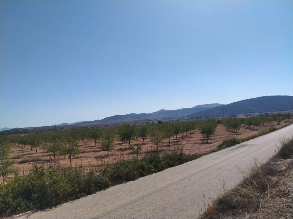 Villa de Obra Nueva Llave en Mano en Pinoso – Exclusividad, Espacio y Confort en Plena Naturaleza - 32