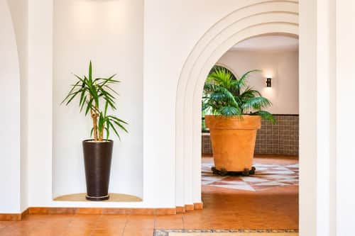 Appartement met 3 slaapkamers in Torrevieja — foto 17