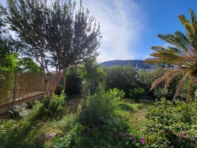 Property #TSR1576C - Image 4