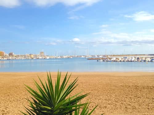 Appartement met 2 slaapkamers in Torrevieja — foto 18