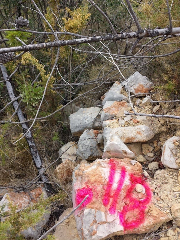 Se vende parcela en pedreguer con licencia de construccion - 15