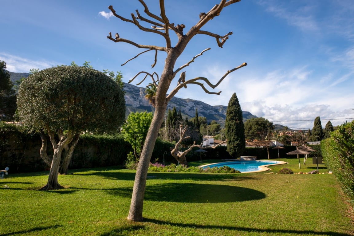 ADOSADO ZONA ROTAS, DENIA - 33