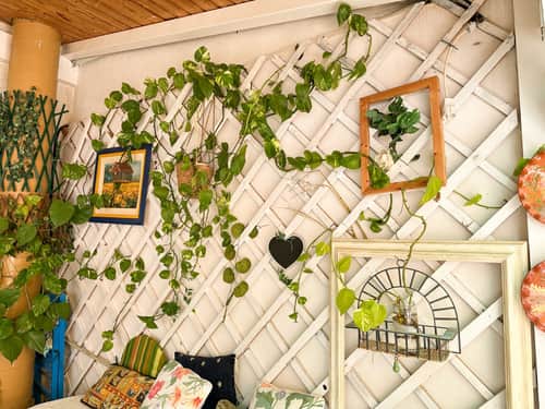 Appartement met 2 slaapkamers in Torrevieja — foto 40
