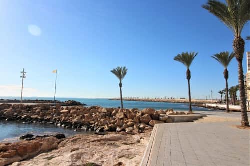 Appartement met 2 slaapkamers in Torrevieja — foto 30