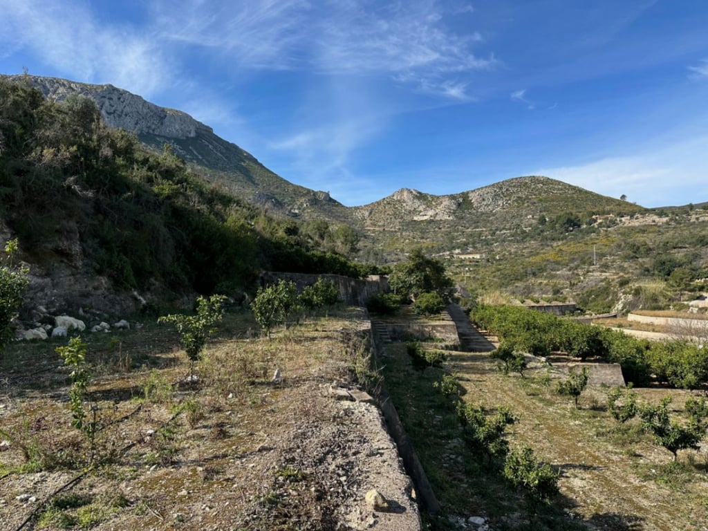 Gran Finca de Naranjos con Vistas al Mar y Posibilidad de Vivienda - 8
