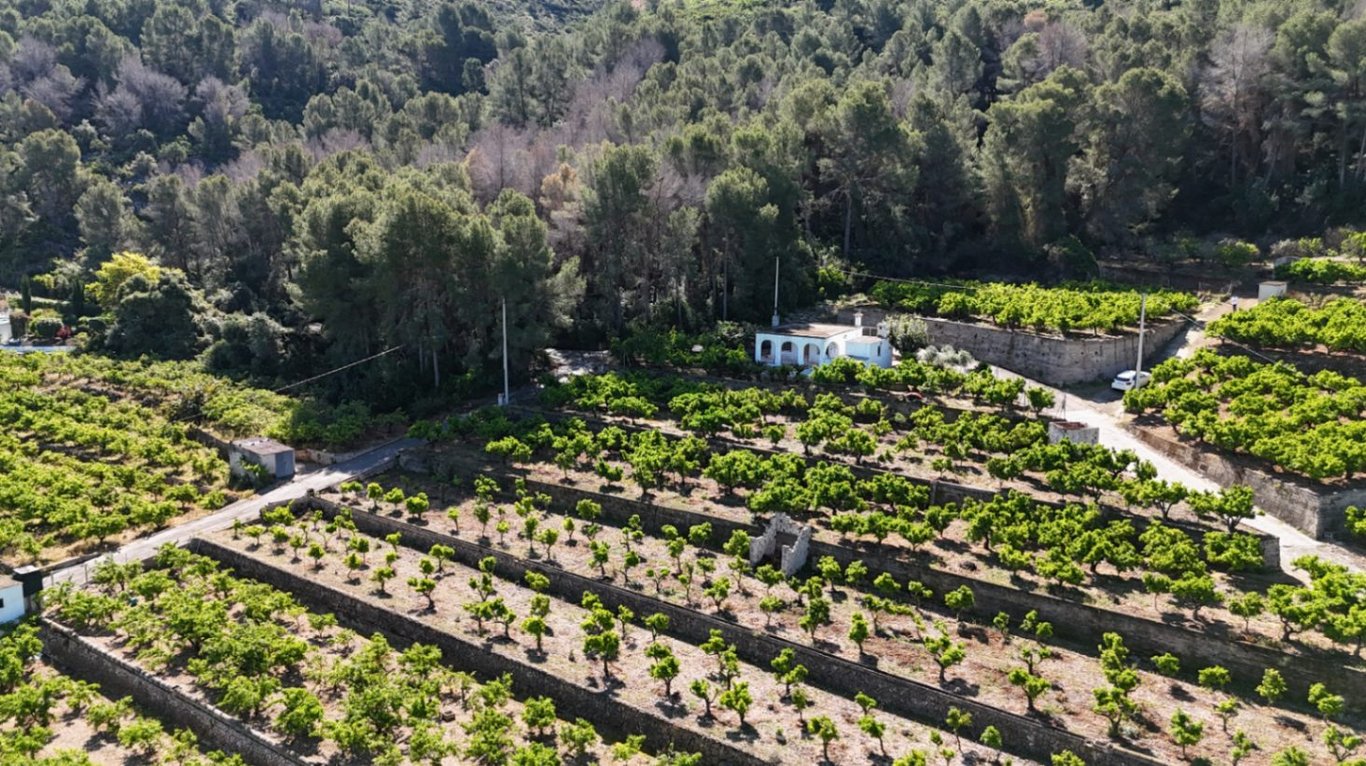 Encant rural amb vistes al mar i a la vall de Pego - 4