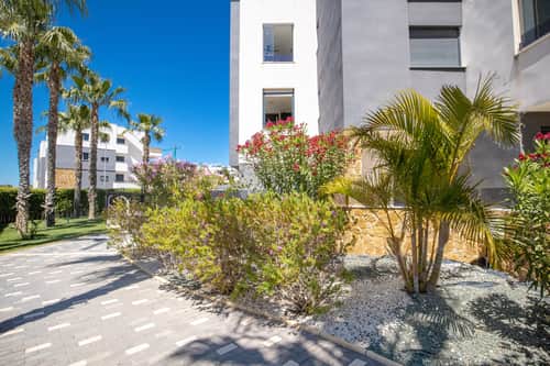 Penthouse met 3 slaapkamers in Los Altos — foto 34