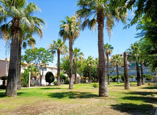 Bungalow met 2 slaapkamers in Orihuela Costa — foto 29