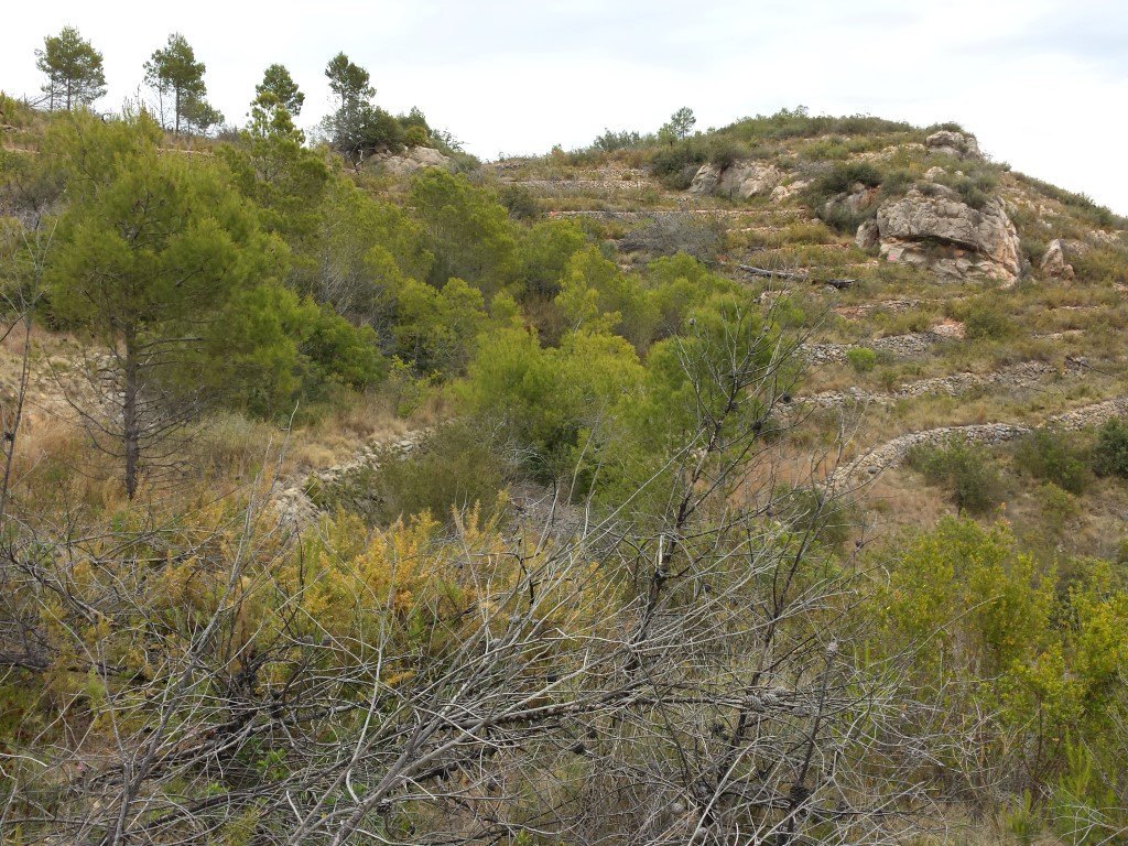 Se vende parcela en pedreguer con licencia de construccion - 16