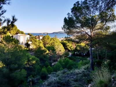 Property #TSR1281C - Image 4