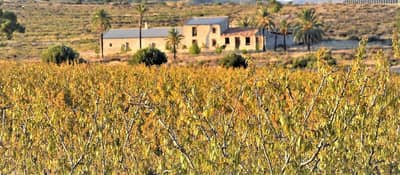 Property #TSR2070C - Image 2