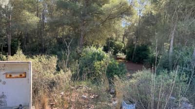 Property #TSR1517C - Image 3