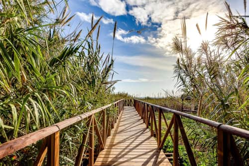 Villa met 3 slaapkamers in San Fulgencio — foto 42