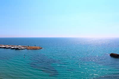 Property #TRA5312 - Image 4