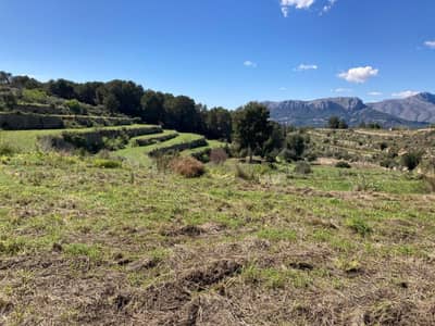 Property #HFF3101A 1