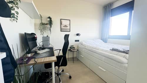 Bungalow met 3 slaapkamers in Torrevieja — foto 20