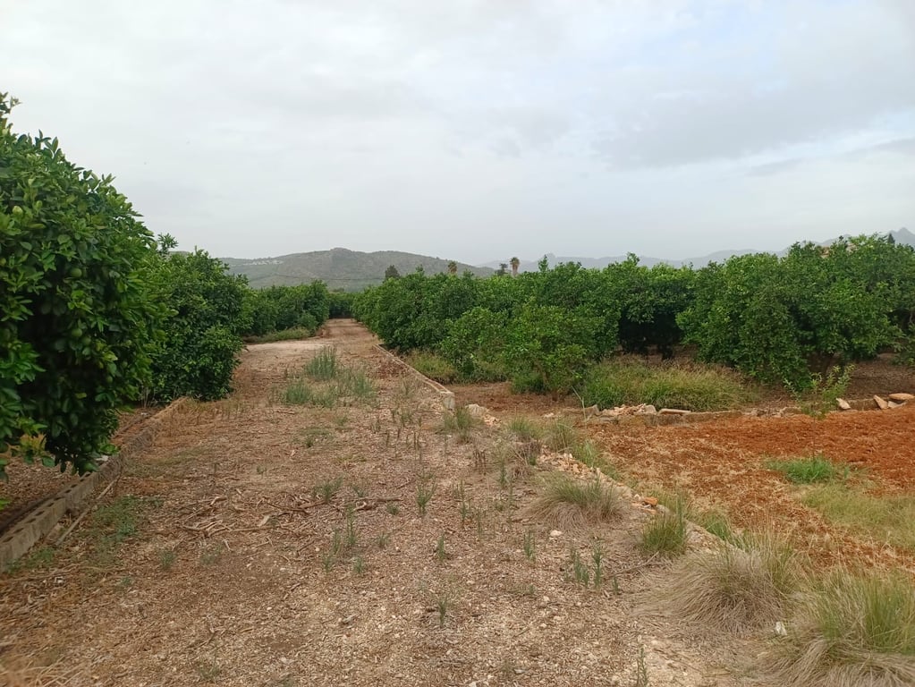 Property #RH20350 - 2