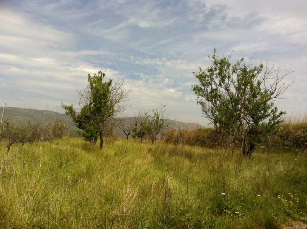 Terreno rústico con bonitas vistas en venta en Benissa - 5