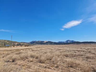 Property #TSR3383C - Image 2