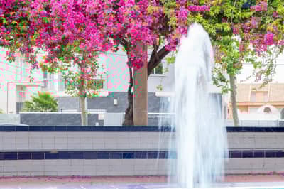 Property #TSR3007C - Image 3