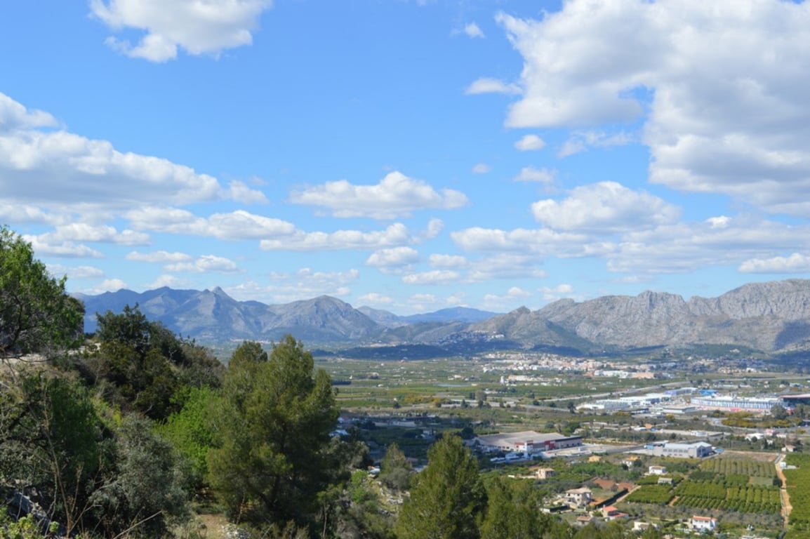 Venta. Parcela en Pedreguer