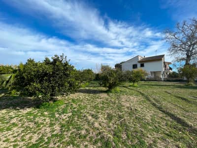 Property #TSR1905C - Image 2