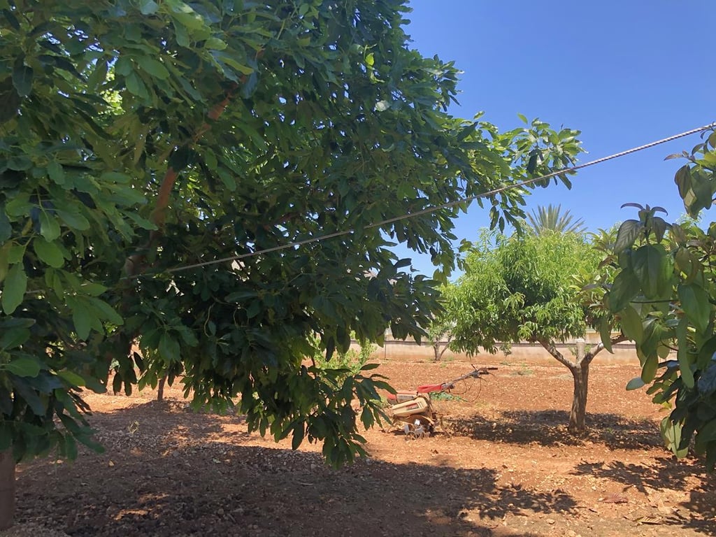 Ondara. Casa de campo amplia con piscina en venta - 21