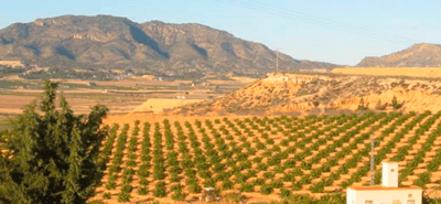 Property #TSR2748C - Image 2