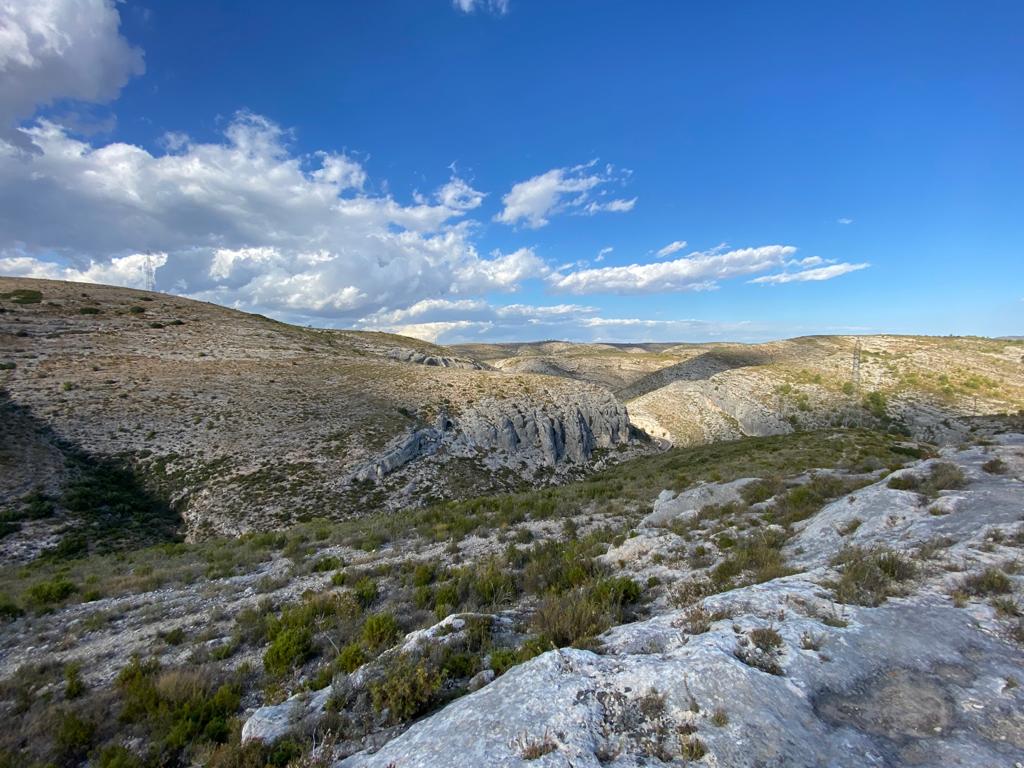 Se vende Terreno/Coto de Caza en Bocairente - 6