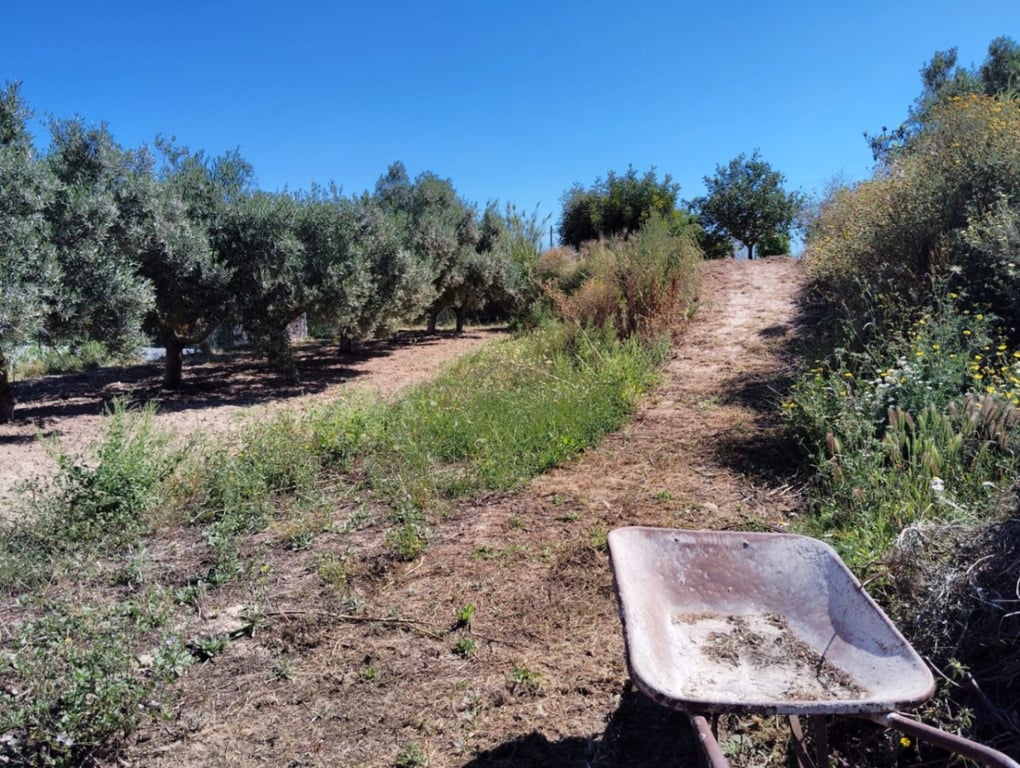 Finca en Teulada