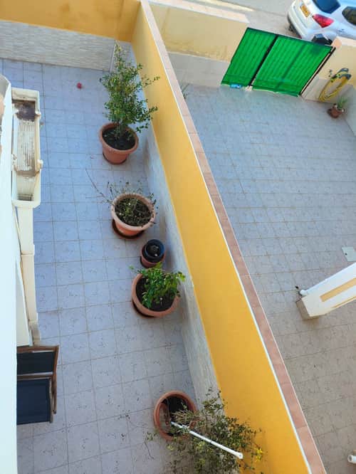Woning met 2 slaapkamers in San Pedro del Pinatar — foto 41