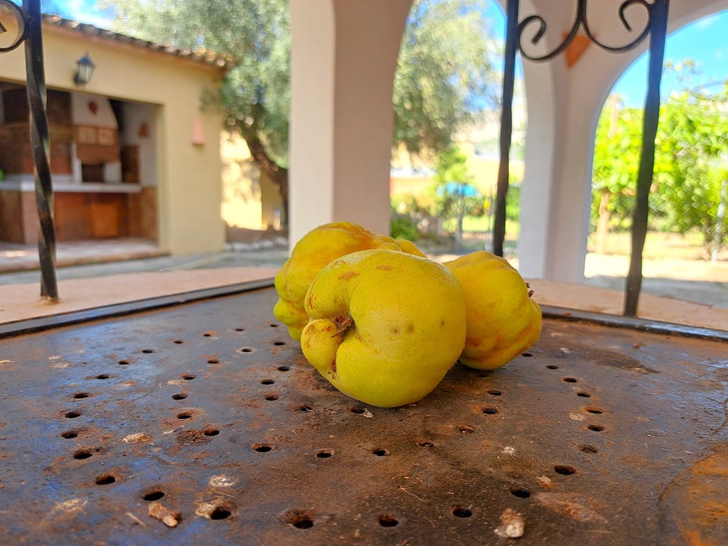 Villa familiar con piscina en venta en Orba - 19