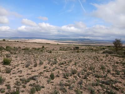 Property #TSR1632C - Image 5