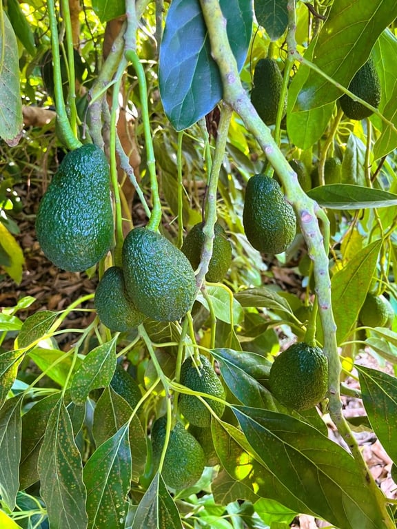 Property #RH20383 - 8