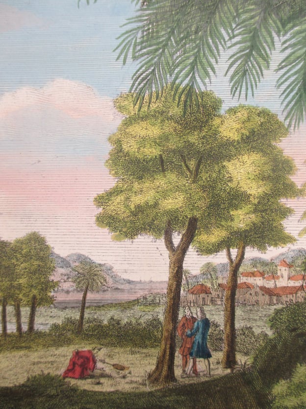 Illustration of Maria Sybilla Merian in the field from 'Insects of Surinam'
