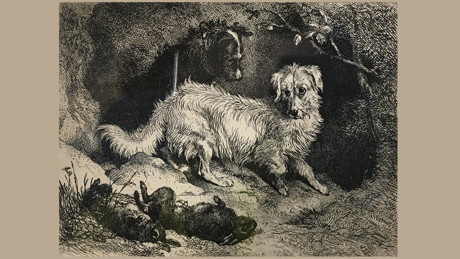Black and white print of dogs from The Box's collection of works on paper