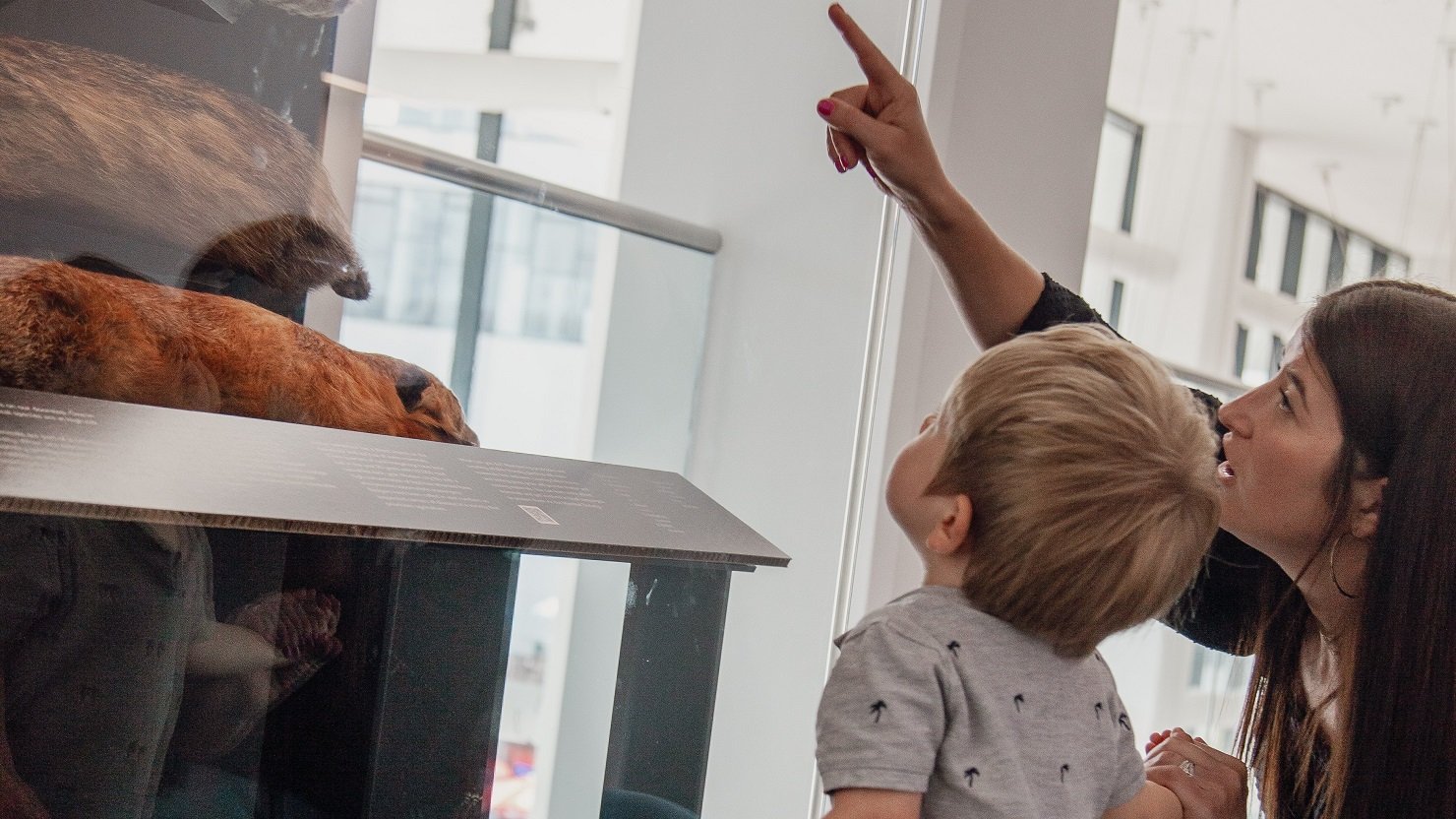 Your family guide to the summer | The Box Plymouth