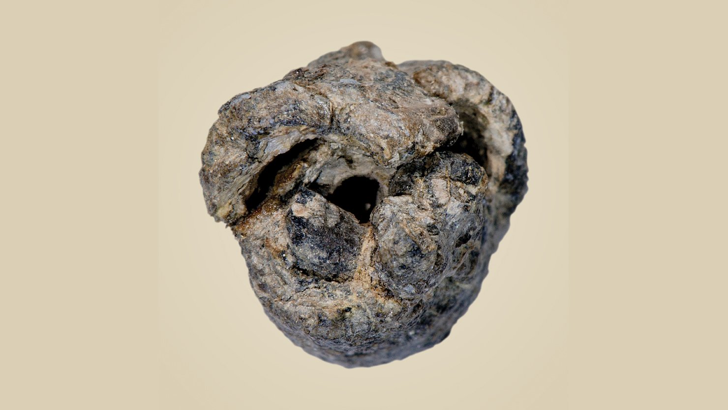 Did local tin kickstart the European Bronze Age?