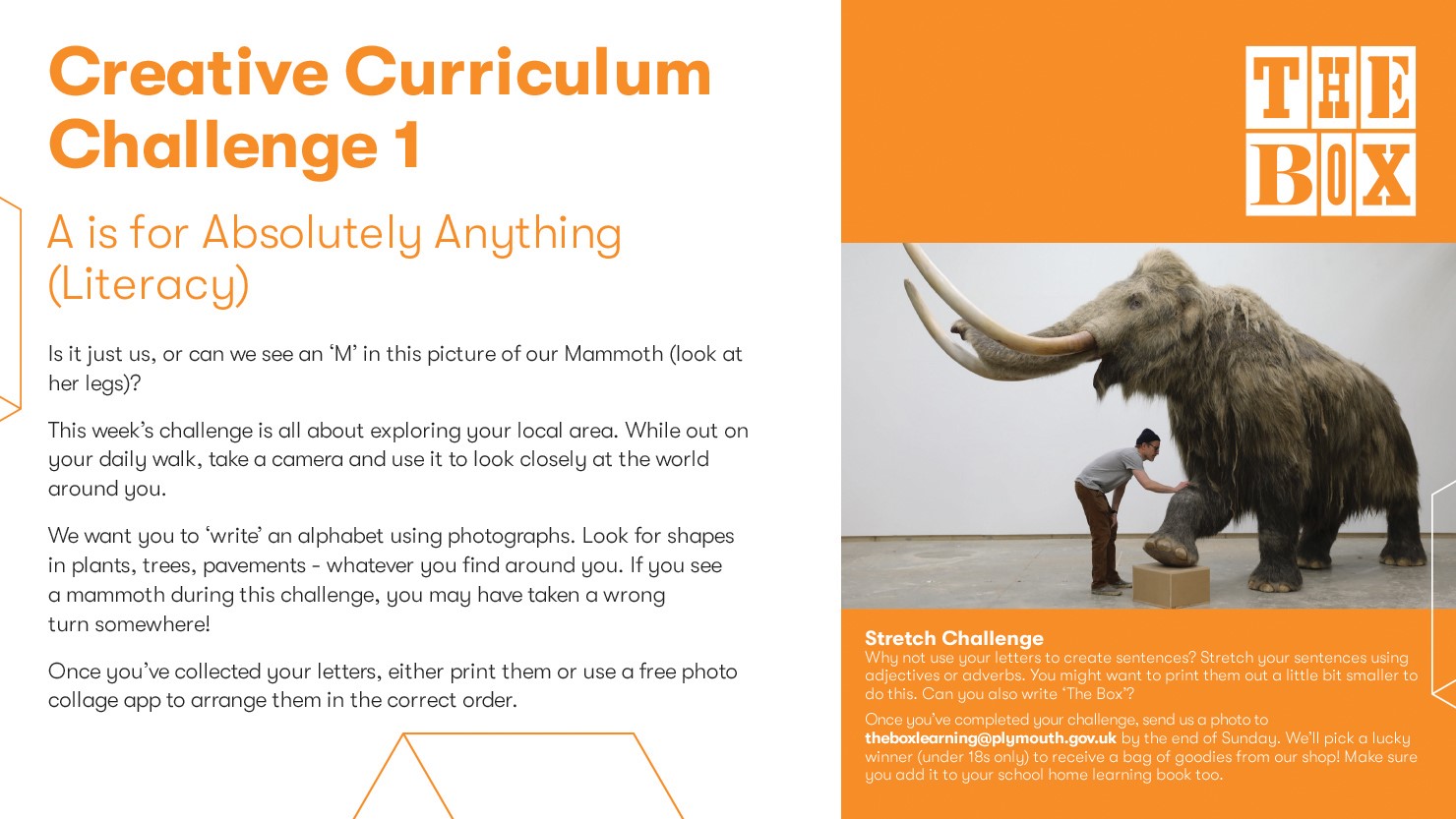Creative Curriculum Challenge literacy graphic