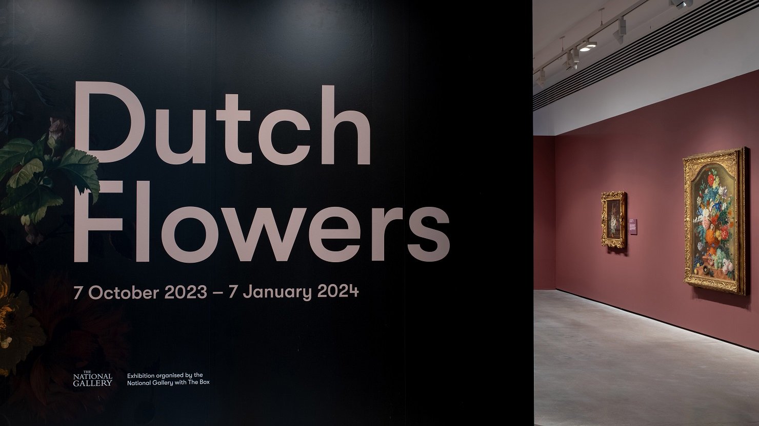 Growth, decay and everything in between: Jan van Huysum, Paulus Theodorus van Brussel and Jan Weenix | The Box Plymouth