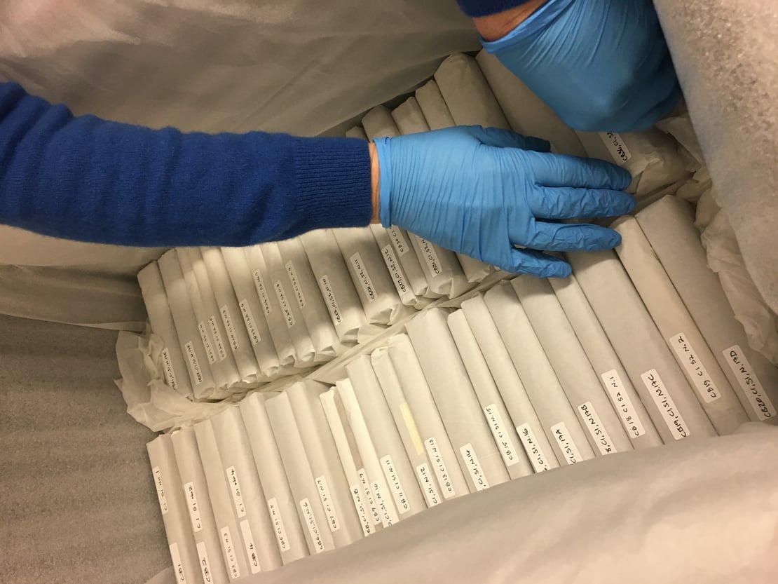 A person wearing blue conservation gloves sorting through a box of historic books