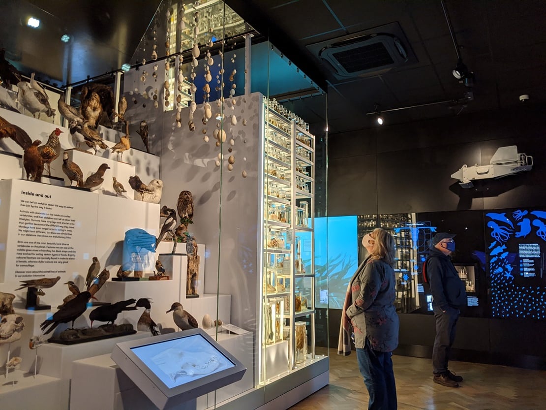 Two adults wearing face masks look at the displays in The Box's Mammoth gallery