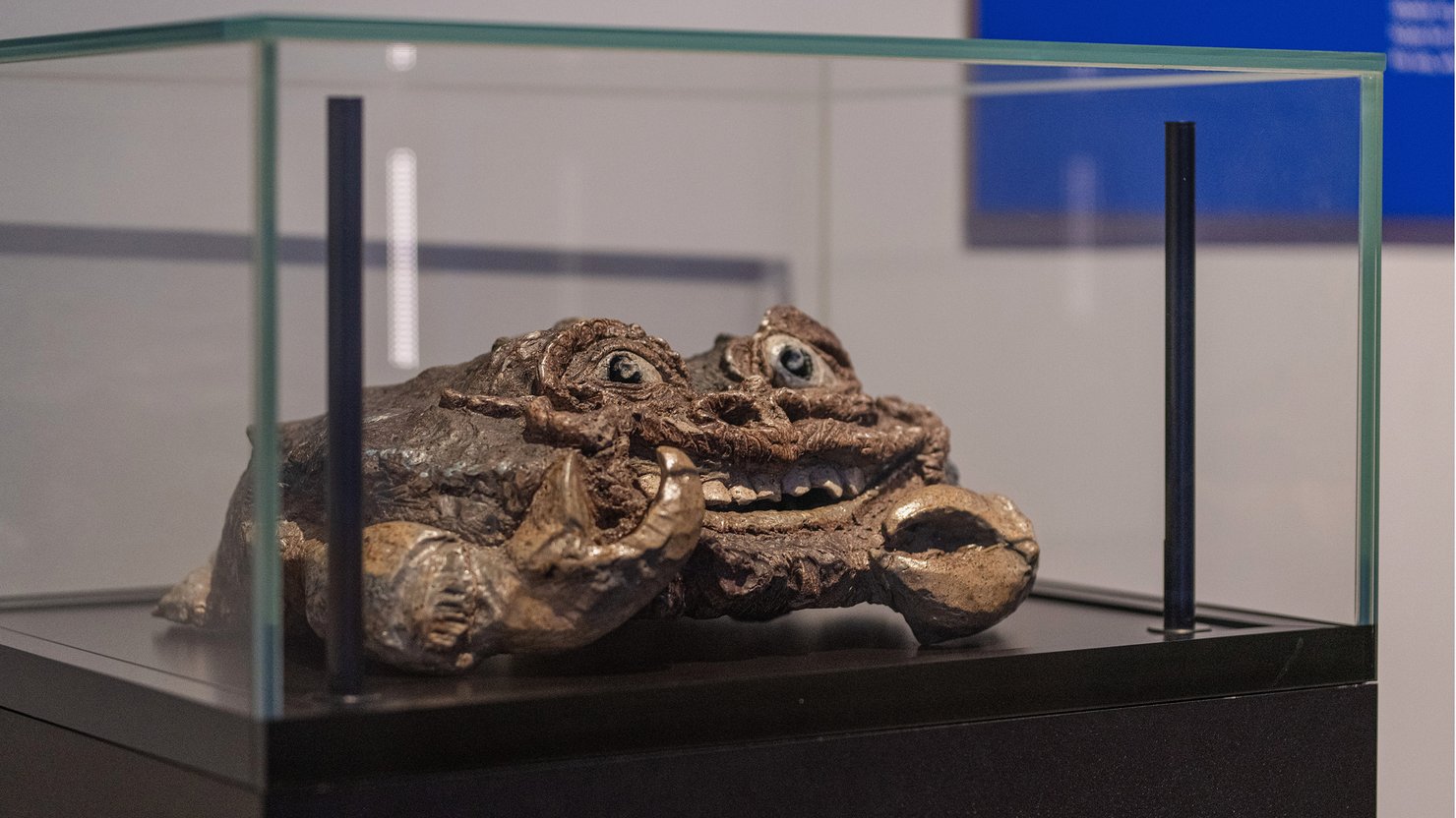 Image of the Martinware crab on display in the 'Planet Ocean' exhibition at The Box in 2024