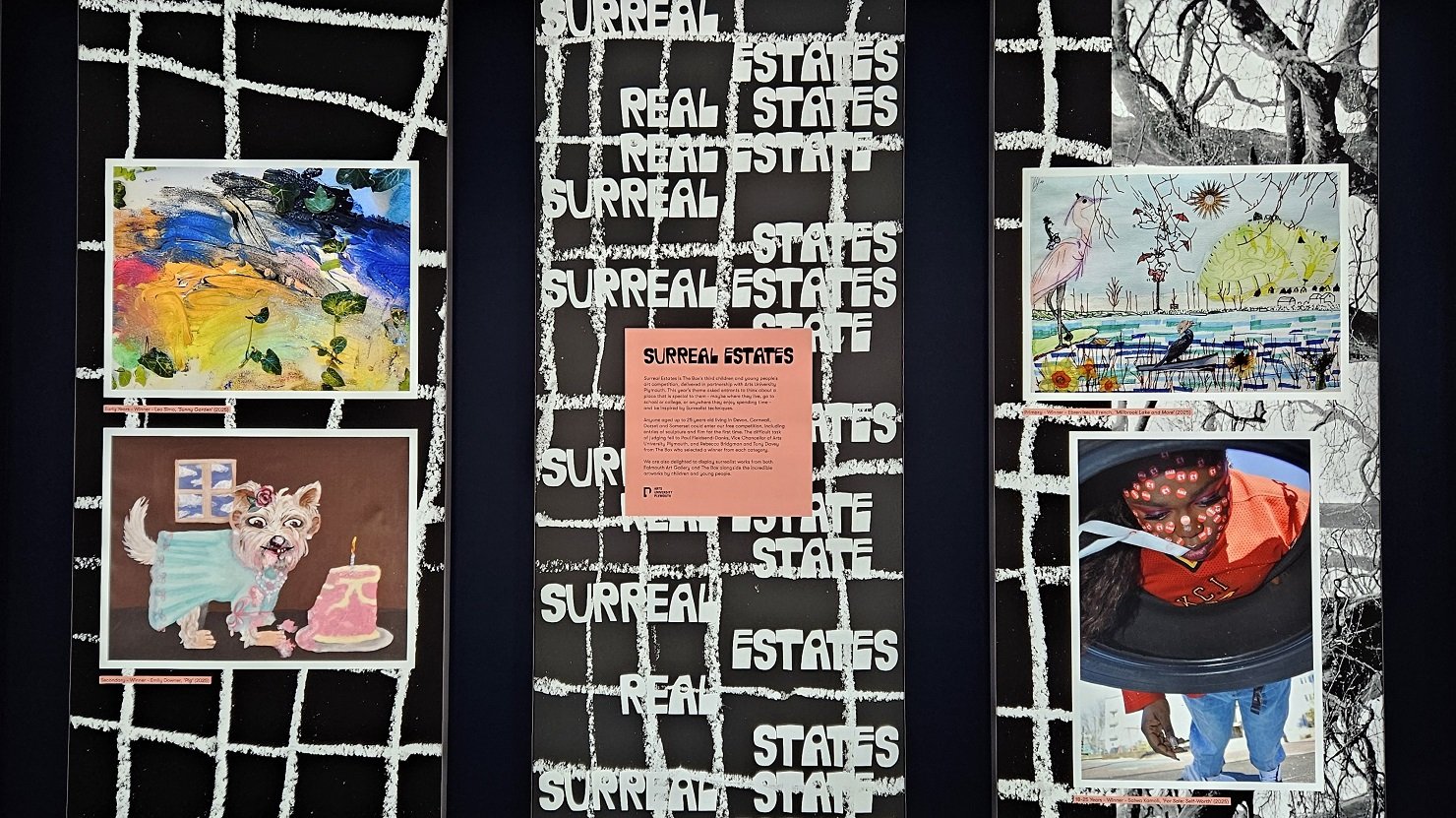 ‘Surreal Estates’ showcases creative talents of South West’s children and young people | The Box Plymouth