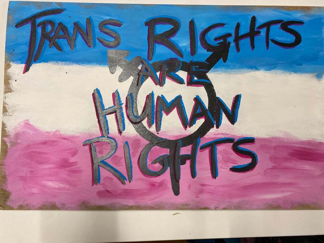 Photo of the pink, blue and white striped trans flag