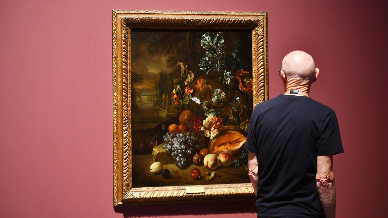 A male visitor looks at a Dutch flower painting in a gold frame on a red wall in a gallery